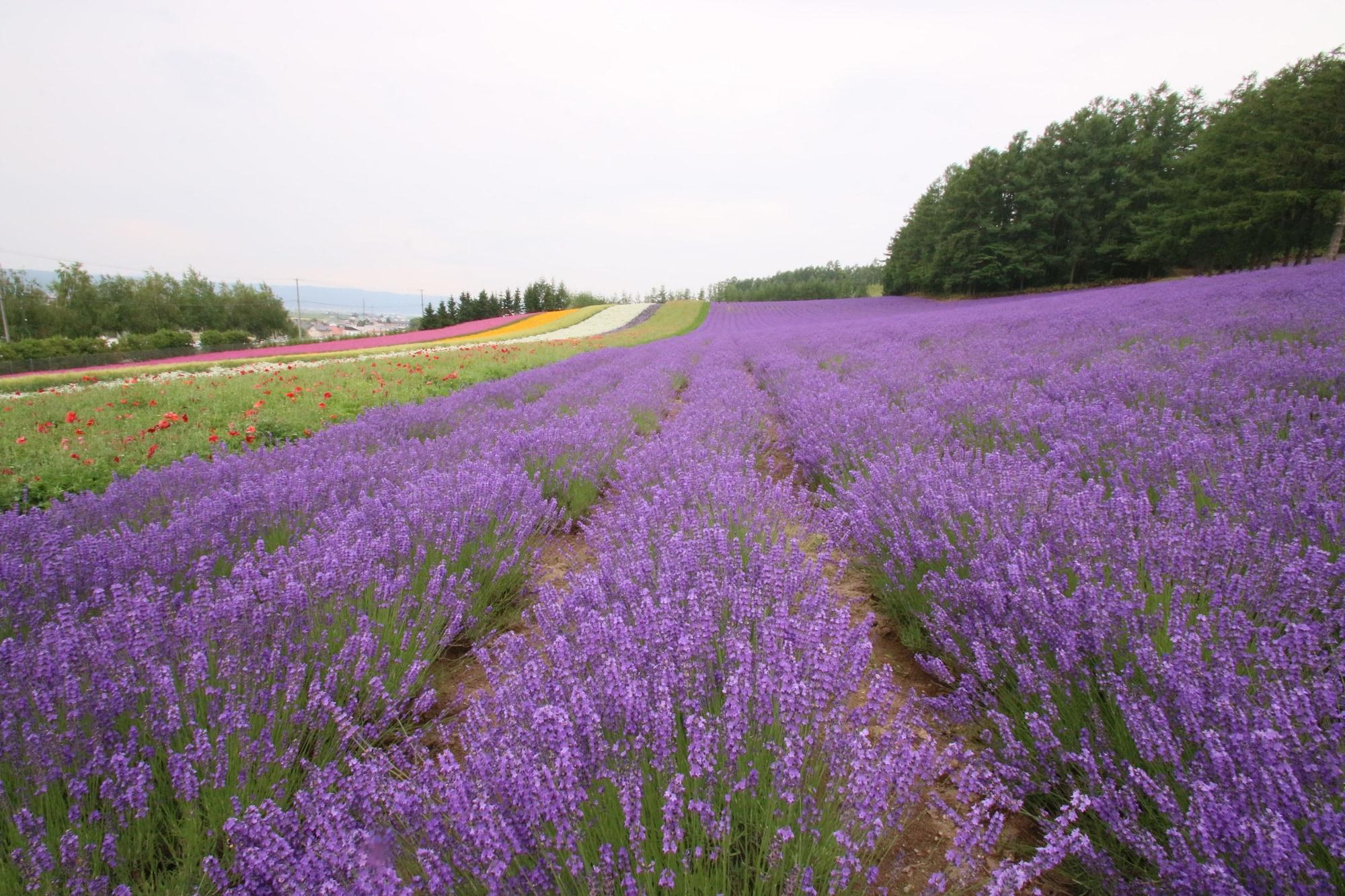 Furano Shiyuirin Hotel Kamifurano Екстериор снимка