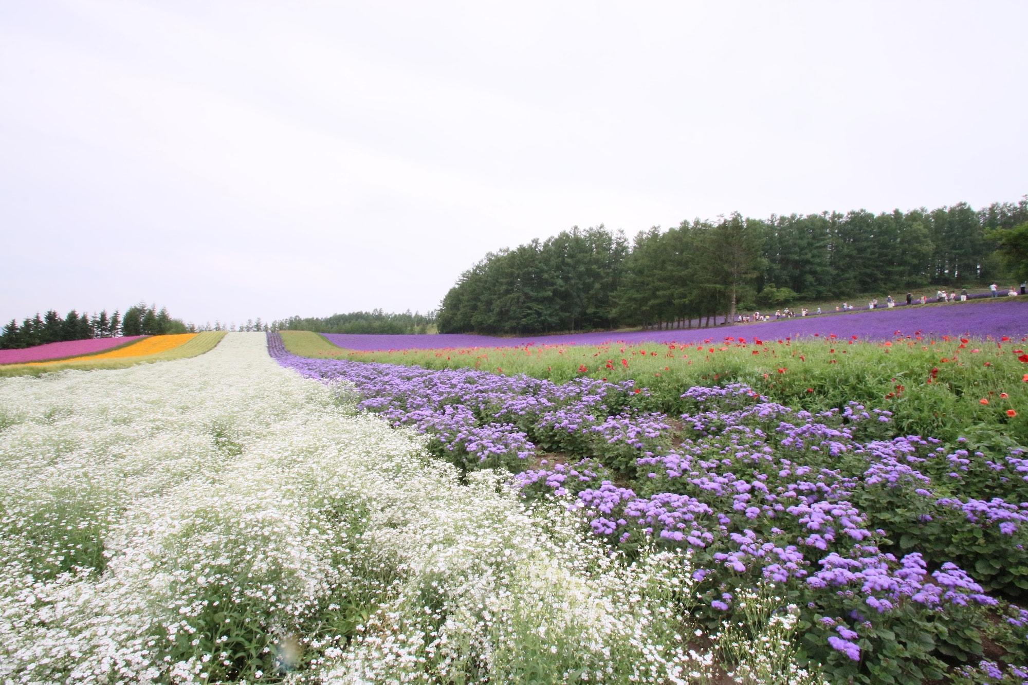 Furano Shiyuirin Hotel Kamifurano Екстериор снимка