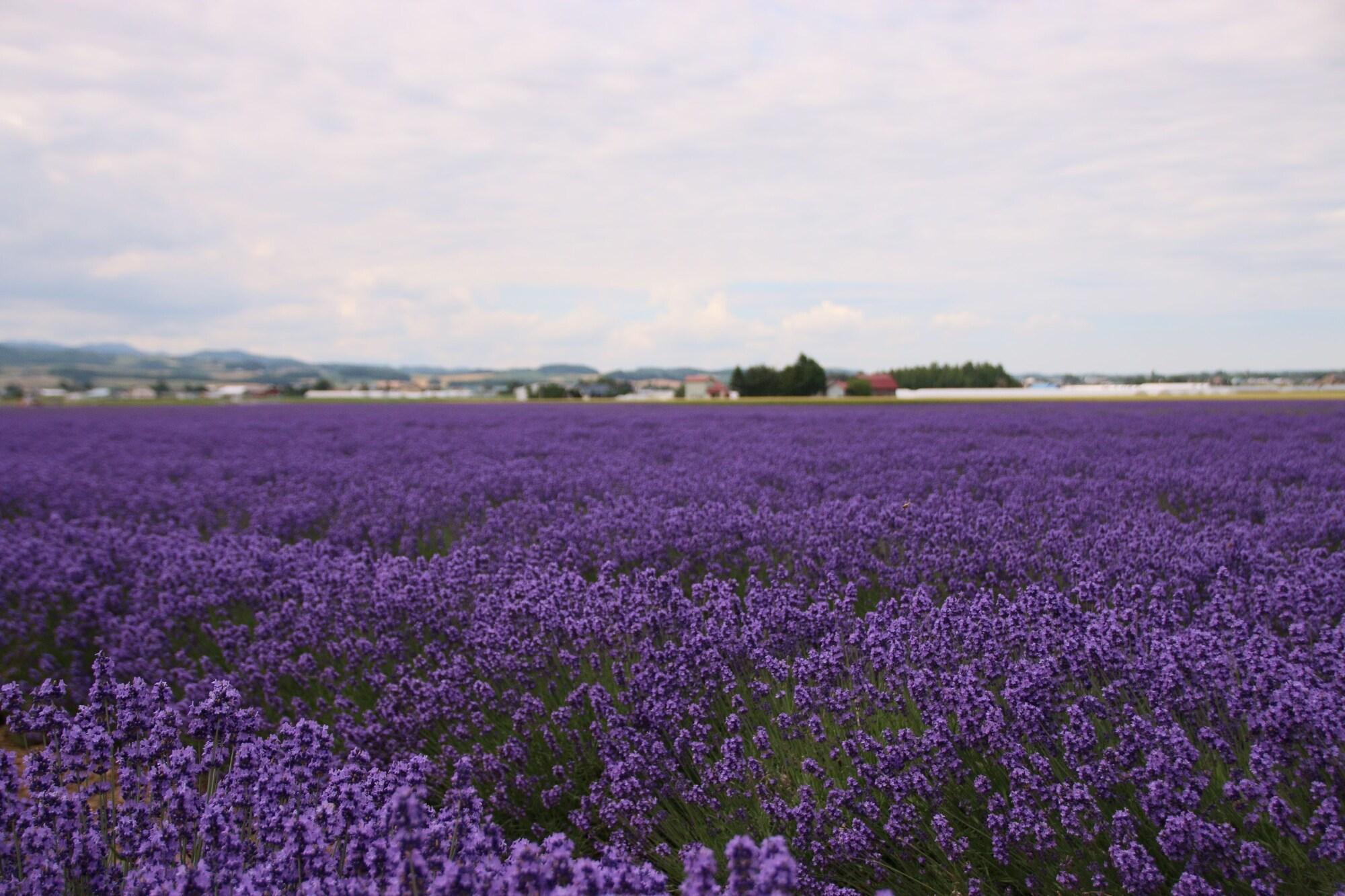 Furano Shiyuirin Hotel Kamifurano Екстериор снимка