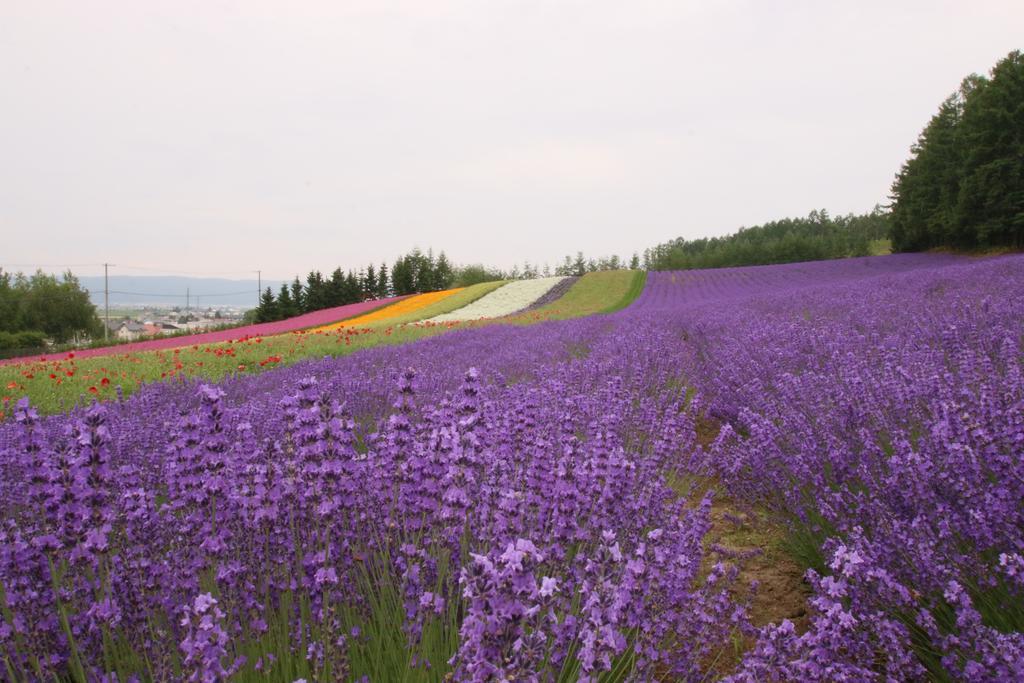 Furano Shiyuirin Hotel Kamifurano Екстериор снимка