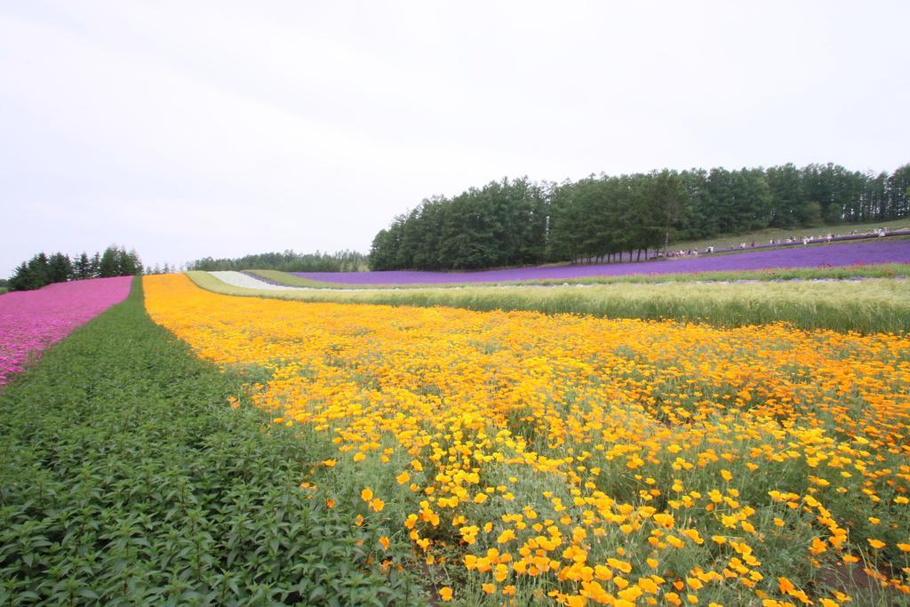 Furano Shiyuirin Hotel Kamifurano Екстериор снимка